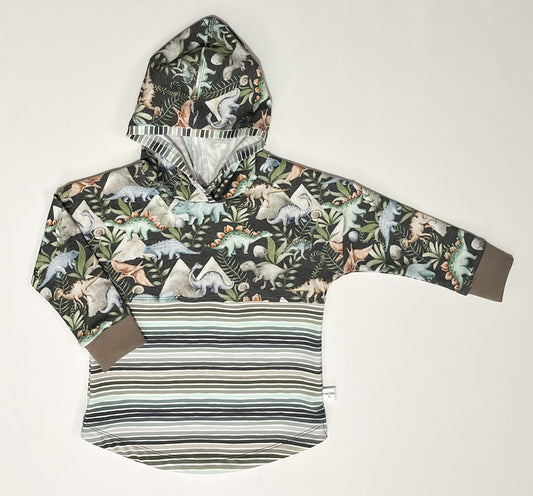 Long Sleeve Hooded Tee's: 12/18m, 18/24m, and 3T